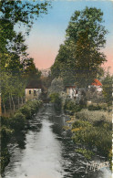  89 - VILLENEUVE - L'ARCHEVEQUE - LES BORDS DE LA VANNE - Villeneuve-l'Archevêque