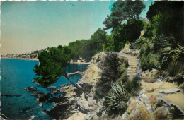 83 - TOULON CAP BRUN - SENTIER DES DOUANIERS - Toulon