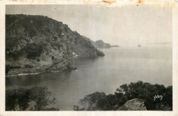 83 - PORQUEROLLES - LA GRANDE CALE - Porquerolles