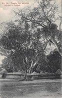 Afrique - Dahomey - Temple Des Serpents Fétiches à OUIDAH - Arbres - Dahomey