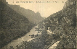  48 -  LES GORGES DU TARN - LA VALLEE ENTRE LE ROZIER ET LE VIGNES - Gorges Du Tarn