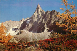 74 - CHAMONIX - AIGUILLE DU DRU - Chamonix-Mont-Blanc