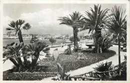 06 - CANNES - JARDIN DES HESPERIDES - Cannes