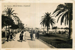 06 - CANNES - ALLEE DES PALMIERS - Cannes