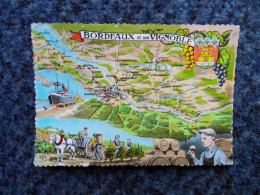 KB11/1193-Bordeaux Et Son Vignoble Carte Plan Multivues 196? - Vignes