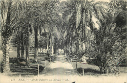 06 - NICE - ALLEE DES PALMIERS AU CHÂTEAU - Otros & Sin Clasificación