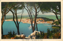 06 - NICE - VUE ENTRE LES PINS - Autres & Non Classés