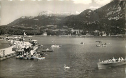 74 - ANNECY - BAIE D'ALBIGNY - Annecy