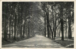 69 - LYON - PARC DE LA TETE D'OR - Autres & Non Classés