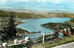 74 - LAC D'ANNECY - VU DU COL DE LA FORCLAZ - Annecy