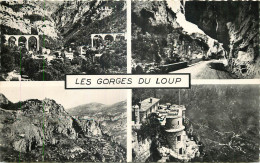 06 - LES GORGES DU LOUP - Autres & Non Classés