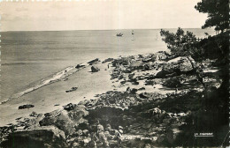 85 - NOIRMOUTIER - LA COTE AU BOIS DE LA CHAIZE - Noirmoutier