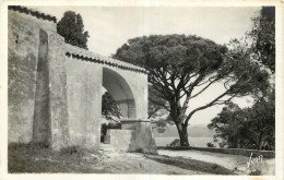 83 - SAINT TROPEZ - CHAPELLE SAINTE ANNE - Saint-Tropez