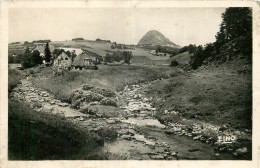 07 - GERBIER DES JONCS - LA LOIRE - Andere & Zonder Classificatie