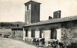 42 - LA FERME HOTEL DE LA JASSERIE DU MONT PILAT - Mont Pilat