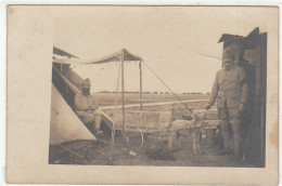 MILITAIRES ET ATTELAGE AVEC UN MOUTON CARTE PHOTO - Guerre 1914-18