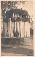 PHOTO CARTE GRANDE FONTAINE EN HIVER . EDITION AMIEL N° 24 . Scan R/V - Salon De Provence