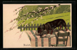 Künstler-Lithographie Alfred Mailick: Durstiger Dackel  - Honden