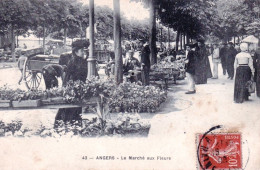 49 - Maine Et Loire -  ANGERS - Le Marché Aux Fleurs - Angers