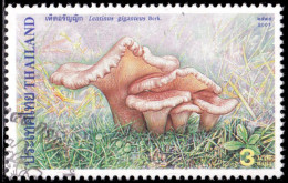 Thailand Stamp 2001 Mushrooms (3rd Series) 3 Baht - Used - Thailand