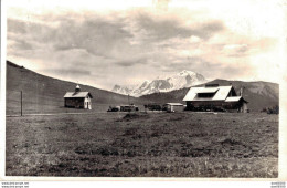 74 COL DES ARAVIS LA CHAPELLE DES ARAVIS ET LE MONT BLANC CHALET DES RHODODINDRONS - Autres & Non Classés