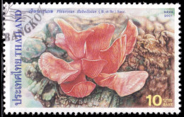 Thailand Stamp 2001 Mushrooms (3rd Series) 10 Baht - Used - Thaïlande
