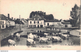 51 FISMES LA VESLE A FISMETTE TROUPEAU DE VACHES S'ABREUVANT DANS LA RIVIERE - Fismes