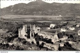 05 TALLARD RUINES DU CHATEAU CPSM - Autres & Non Classés