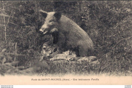 02 FORET DE SAINT MICHEL UNE INTERESSANTE FAMILLE SANGLIER AVEC MARCASSINS TETANT MAMAN - Otros & Sin Clasificación