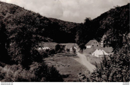 ALLEMAGNE JUGENDZELTLAGERPLATZ DES EIFELVEREINS WOFFELSBACH RURSEE - Other & Unclassified