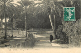 06 - NICE - GROUPE DE PALMIERS AU CHATEAU  - Other & Unclassified