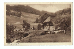 32548-  Schwarzwaldidylle Circulée 1925 - Andere & Zonder Classificatie