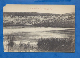 CPA - 55 - La Bataille De Verdun - L'Etang De Vaux - Non Circulée - Verdun