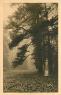 77 - PALAIS  DE FONTAINEBLEAU - LE PARC  - DOUCE FRANCE - Autres & Non Classés