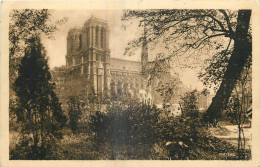 75 - PARIS - NOTRE DAME - LES JOLIS COINS DE PARIS - Notre Dame Von Paris