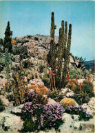 Fleurs - Plantes - Cactus - Eze Village - Le Jardin Exotique - CPM - Voir Scans Recto-Verso - Cactus