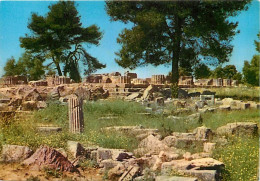 Grèce - Athènes - Athína - Olympie - Le Temple De Zeus - Carte Neuve - CPM - Voir Scans Recto-Verso - Grèce