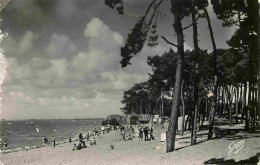 17 - Ronce Les Bains - La Plage Et Les Pins - Mention Photographie Véritable - Carte Dentelée - CPSM Format CPA - Voir S - Sonstige & Ohne Zuordnung