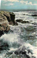 44 - Préfailles - La Pointe St Gildas - La Côte Sauvage - Effet De Vagues - CPM - Voir Scans Recto-Verso - Préfailles