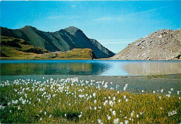 05 - Hautes Alpes - Lac Foréant - Au Fond Le Pic De Ségure, 2974 M - CPM - Voir Scans Recto-Verso - Other & Unclassified