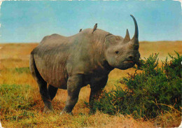 Animaux - Rhinocéros - Afrique - Carte Dentelée - CPSM Grand Format - Voir Scans Recto-Verso - Sonstige & Ohne Zuordnung