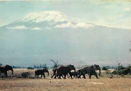 Animaux - Eléphants - East Africa - éléphanteau - CPM - Voir Scans Recto-Verso - Elefanten