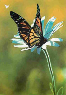 Animaux - Papillons - Fleurs - CPM - Voir Scans Recto-Verso - Butterflies