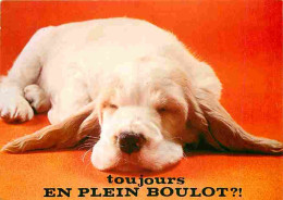 Animaux - Chiens - Cocker - Carte Humoristique - CPM - Voir Scans Recto-Verso - Honden