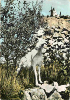 Animaux - Chèvres - Provence - Fontvieille - Le Moulin De Alphonse Daudet Et La Chèvre De Mr Seguin - CPM - Voir Scans R - Autres & Non Classés