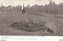 SUR LA TOMBE COMMUNE DE 10 SOLDATS DU 5e REGIMENT D'INFANTERIE LE CHIEN FIDELE - Cimetières Militaires