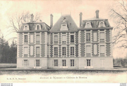 77 ENVIRONS DE NEMOURS CHATEAU DE NANTEAU - Nemours