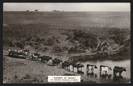 CPA Natal, Ox Wagon Crossing A Drift  - South Africa