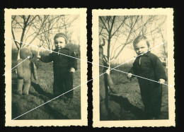 2x Orig. Foto Um 1930 Portrait Kleiner Junge Mit Riesigem Steiff ? Teddy, Sweet Little Boy With A Big Teddy Bear - Anonieme Personen