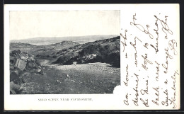 CPA Fauresmith, Veld Scene  - South Africa